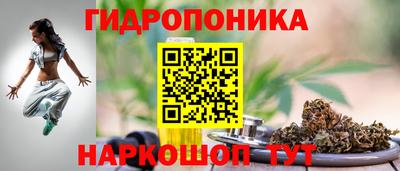 шишки Сланцы