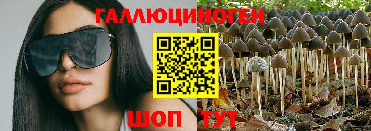 Псилоцибиновые грибы мухоморы  Вход с VPN  Псилоцибиновые грибы Psilocybine cubensis  Новошахтинск 